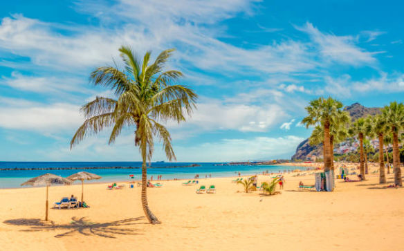 Tenerife Weekly, Breaking Tenerife News will keep you up to date with all the latest events and news in Tenerife. Our online publication is dedicated in bringing you all the latest news and events from Tenerife. We cover everything from breaking news to local events.